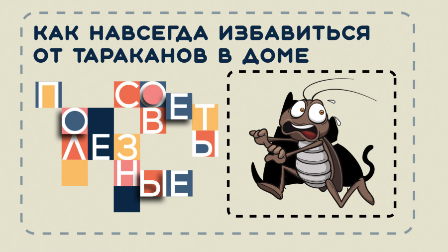ForPost - Новости : Как навсегда избавиться от тараканов в доме