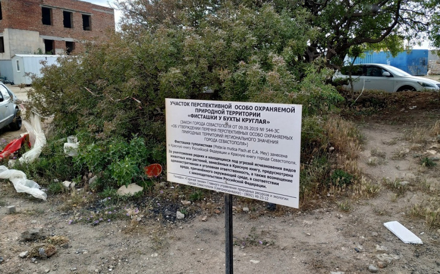 ForPost - Новости : Фисташки у Омеги превратят в место отдыха без шашлычников и мусора 