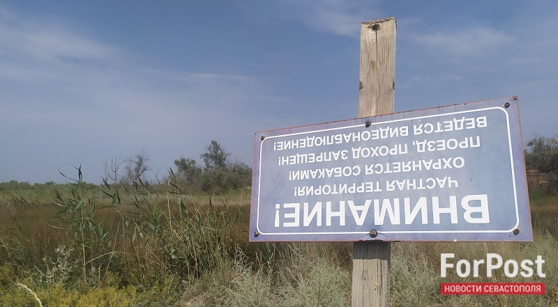 ForPost - Новости : В Крыму будут судить торговца чужими садовыми участками