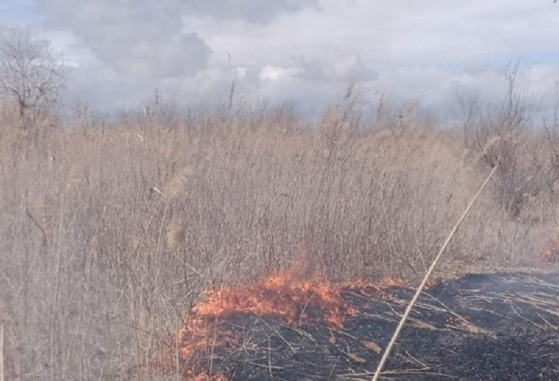 ForPost - Новости : В Крыму есть больше полутысячи мест, которым угрожают ландшафтные пожары