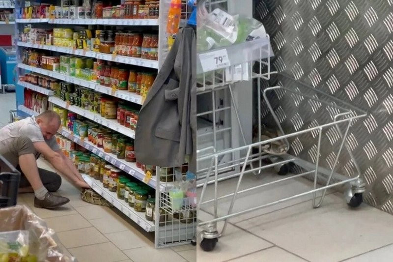 ForPost - Новости : Тигровый питон сбежал от пьяного хозяина в супермаркете