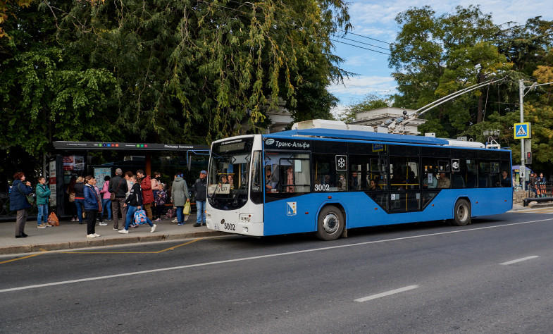 ForPost - Новости : Водитель севастопольского троллейбуса провалился в люк на голову пассажирки 