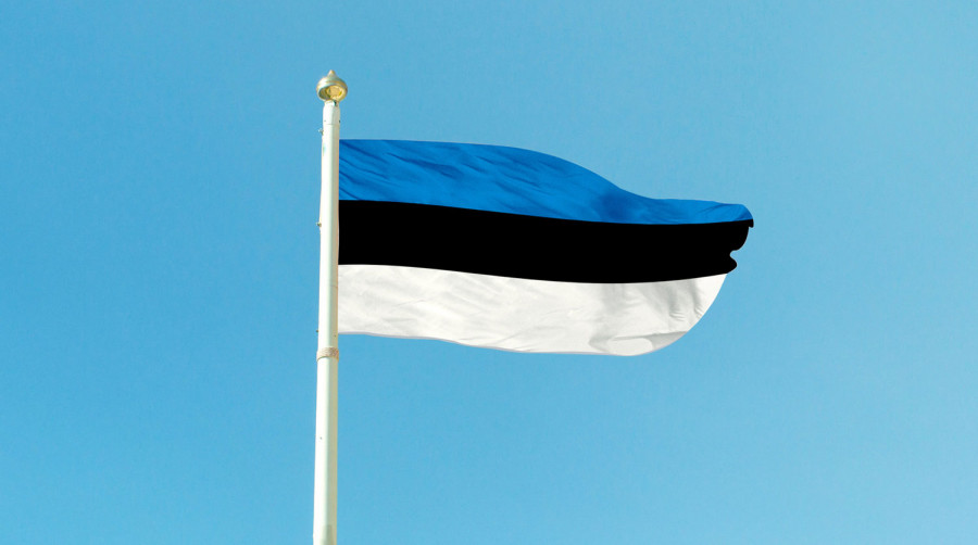ForPost - Новости : В Эстонии рассчитывают увеличить численность населения за счет украинских беженцев