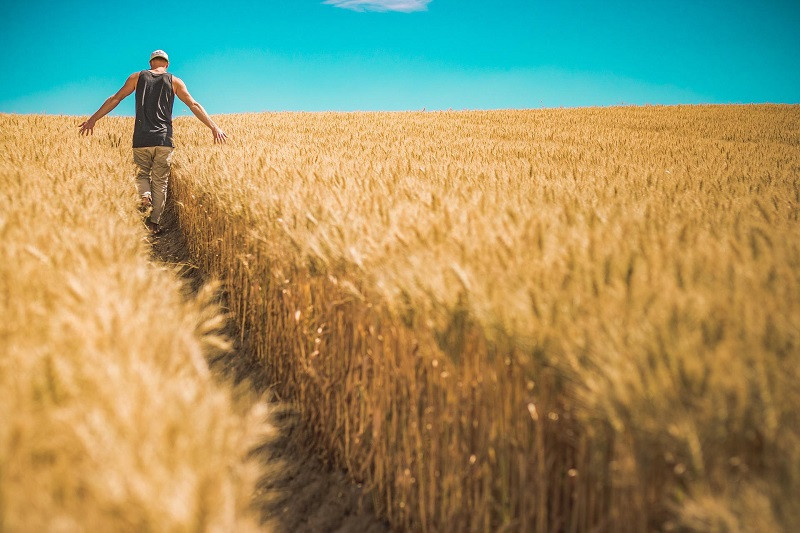 ForPost - Новости : Россия готова обеспечить мир зерном, но многое зависит от Украины