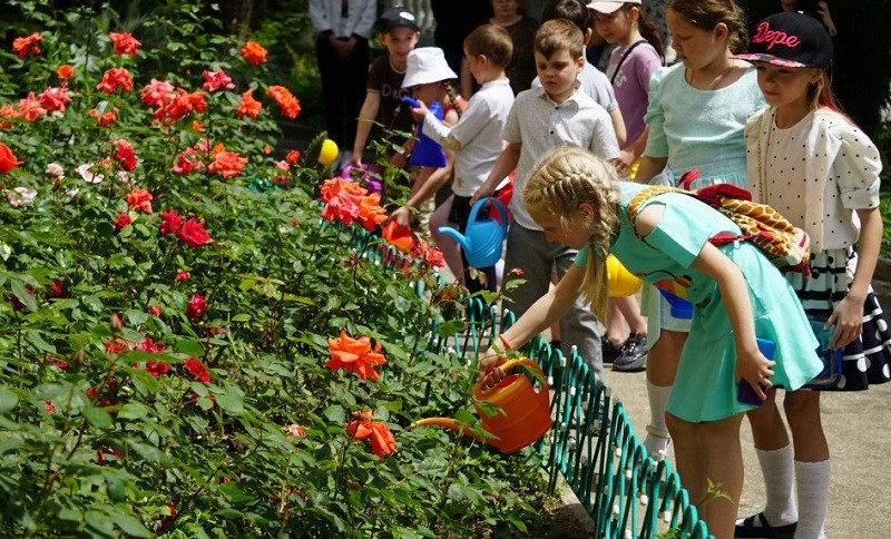 ForPost - Новости : В Москве для крымского музея воссоздали утраченный графский сорт роз