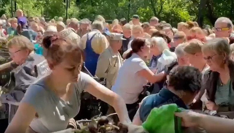 ForPost - Новости : Пенсионеры устроили давку на раздаче бесплатных тюльпанов