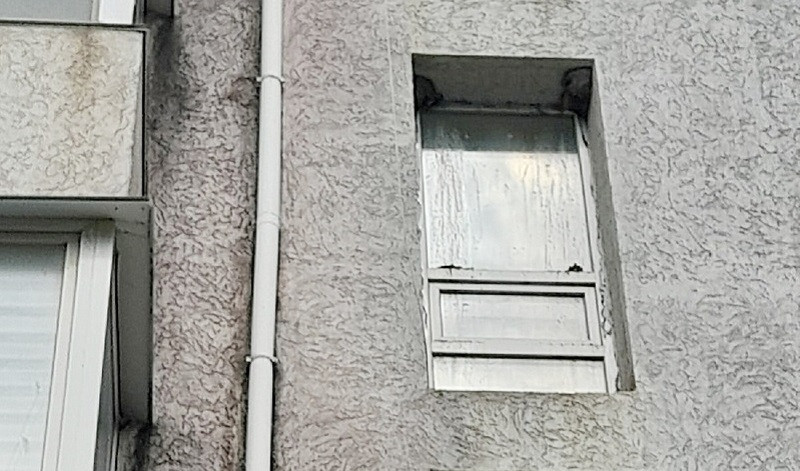 ForPost - Новости : Ласточки облюбовали две жилые пятиэтажки в Крыму