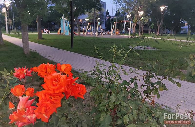 ForPost - Новости : Как сегодня выглядит «лысый парк» в Севастополе