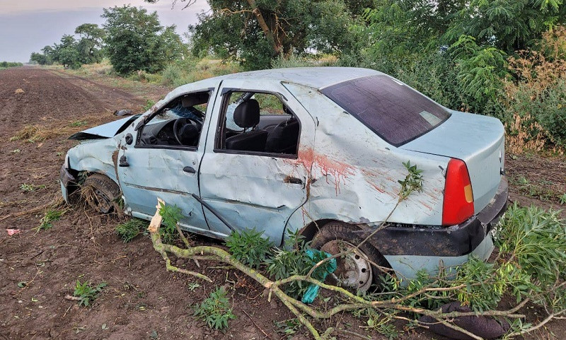 ForPost - Новости : На севере Крыма женщина насмерть разбилась, врезавшись в дерево