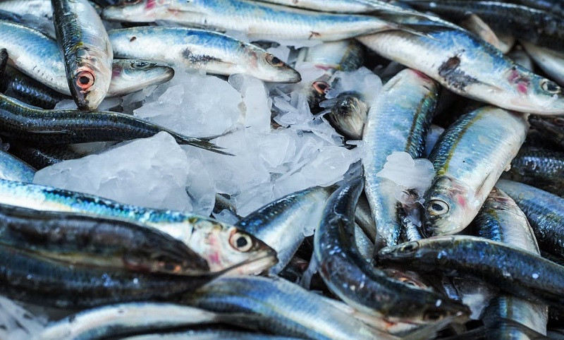 ForPost - Новости : У крымских предприятий изъяли 33 партии некачественной рыбы