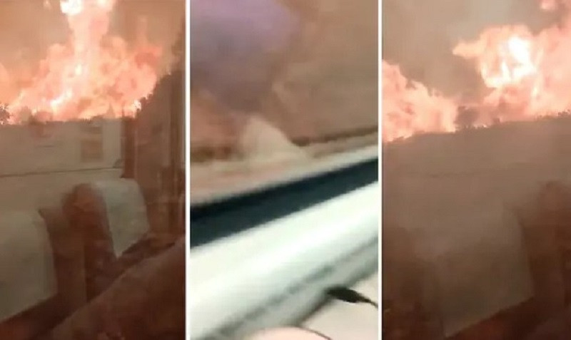 ForPost - Новости : Из-за лесного пожара поезд попал в ловушку, десятки человек пострадали