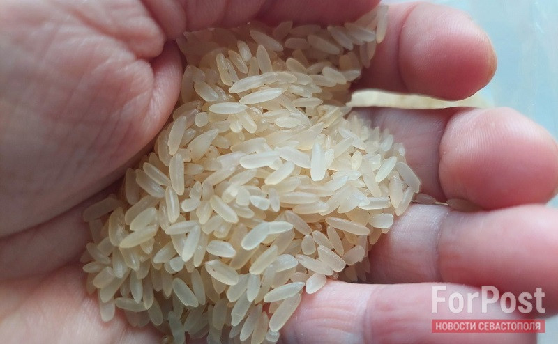 ForPost - Новости : Крым планирует в шесть раз увеличить площади под рис в следующем году