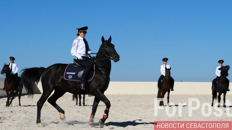 ForPost - Новости : Севастопольскую полицию усилили 18 лошадей карачаевской породы