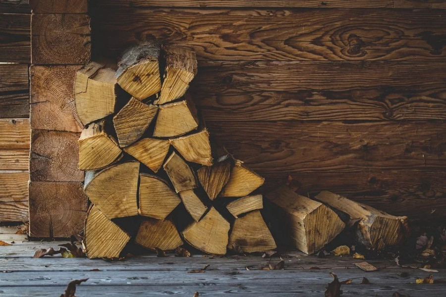 ForPost - Новости : В Севастополе семьям мобилизованных помогут с дровами и углем