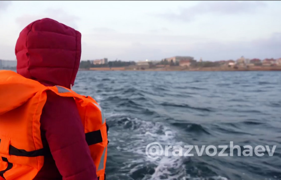 ForPost - Новости : Найти выброшенных в Севастополе дельфинов пока не удалось