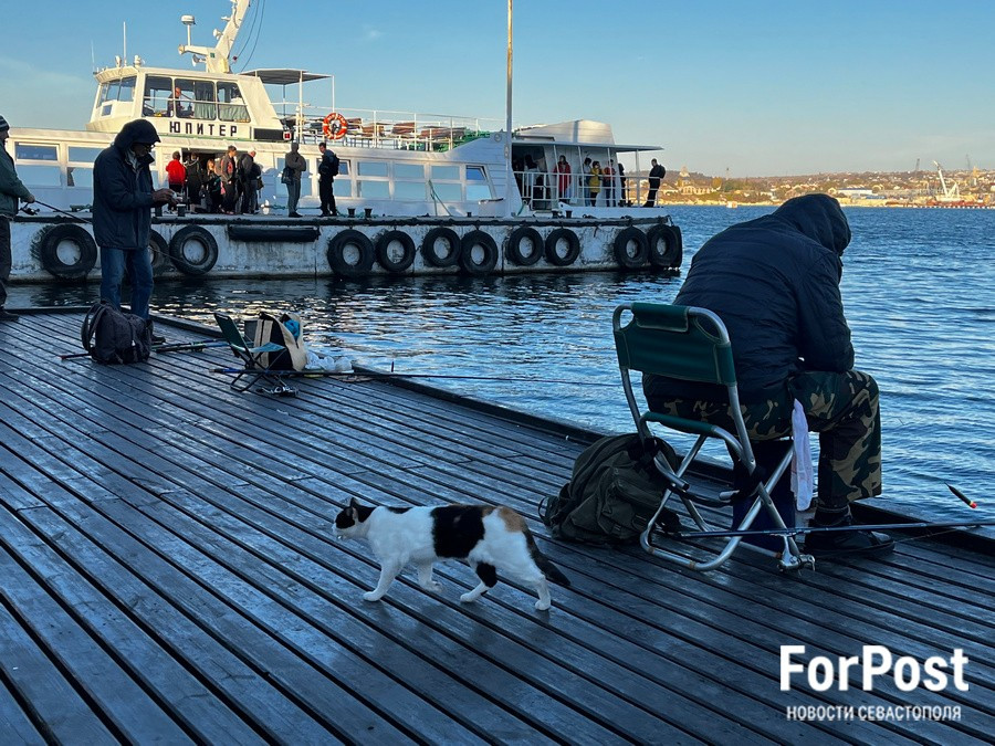ForPost - Новости : Обстановка военного времени не мешает ловить рыбу в Севастополе