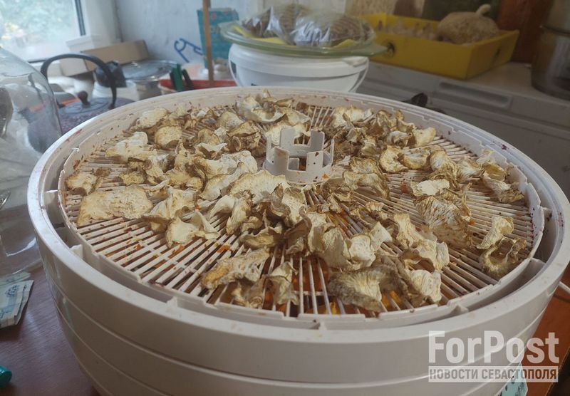 ForPost - Новости : Высокая кухня: как крымчанка начала готовить еду для участников СВО