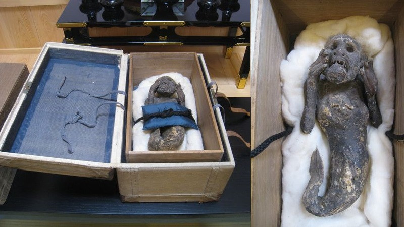 ForPost - Новости : Учёные выясняют природу таинственной мумии «кричащей русалки»