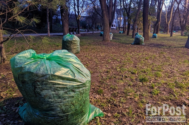 ForPost - Новости : Не грести под одну гребёнку: в Крыму советуют пересмотреть подход к уборке листьев