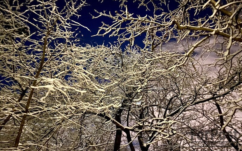 ForPost - Новости : Как себя поведёт крымская погода в первые зимние выходные