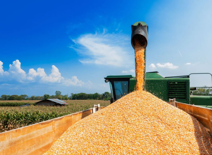 ForPost - Новости : Россия сообщила о готовности заместить украинское зерно