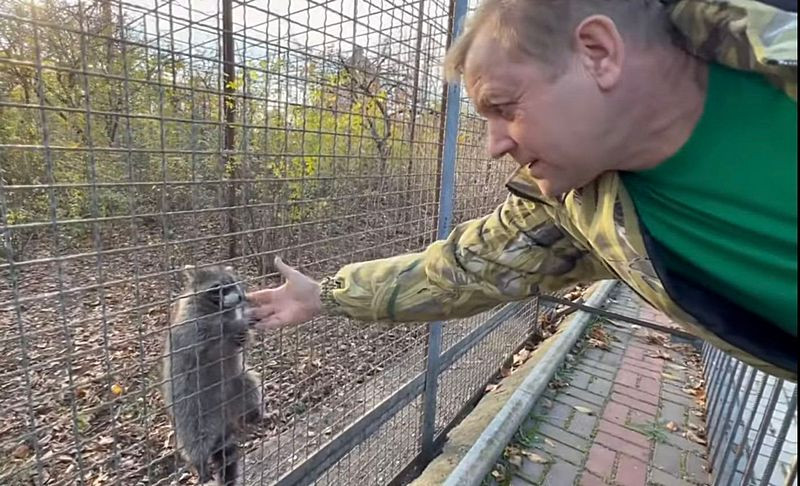 ForPost - Новости : «Более зашуганные»: как чувствуют себя в Крыму животные из Херсонского зооуголка