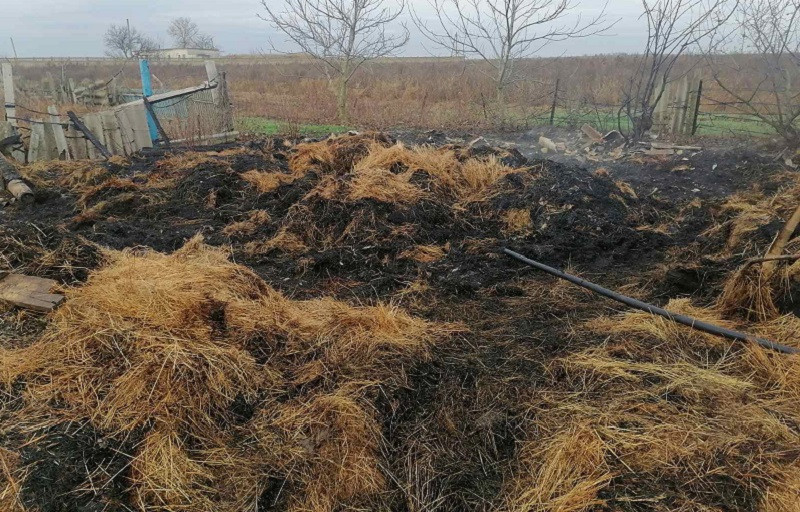 ForPost - Новости : По горячим следам в Крыму нашли поджигателя сена