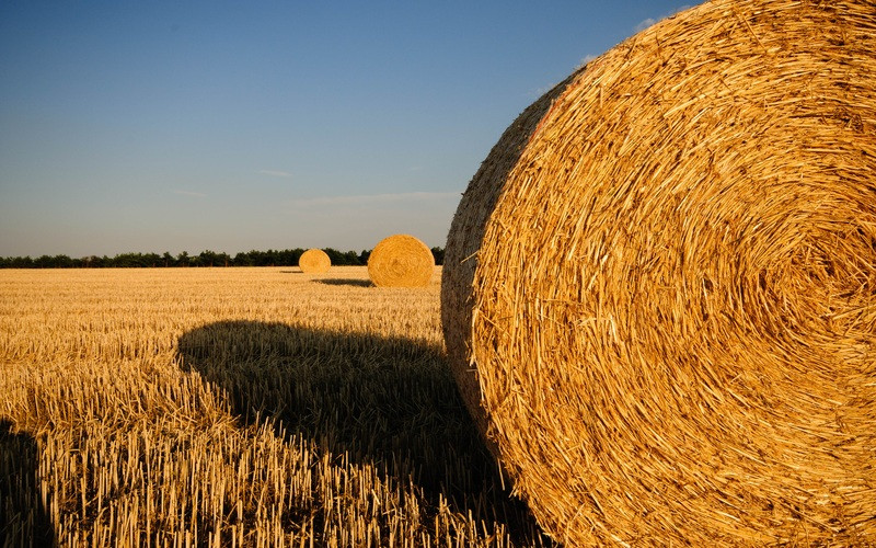 ForPost - Новости : Как за 25 лет развивалась зерновая отрасль в Крыму