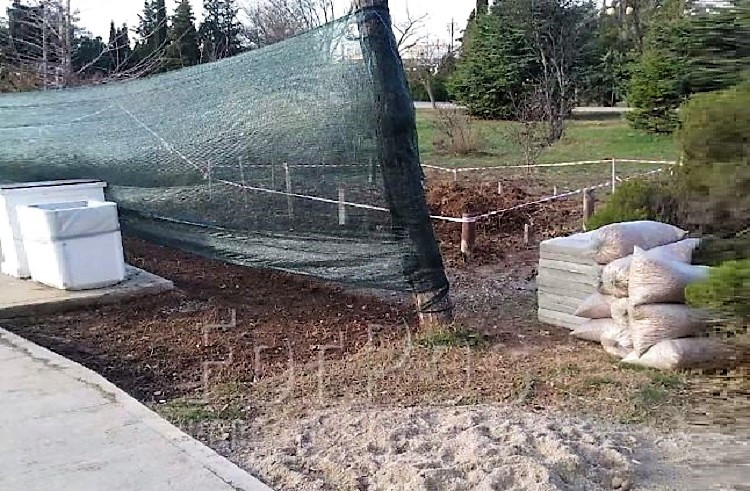 ForPost - Новости : В Севастополе приостановили строительство павильонов в парке Победы 