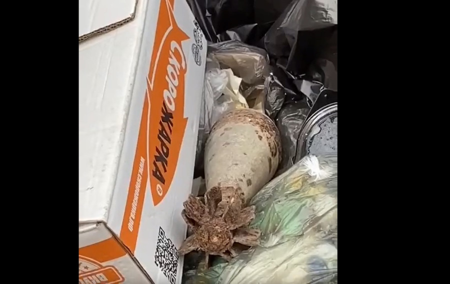 ForPost - Новости : В Севастополе мину выбросили в мусорный бак 