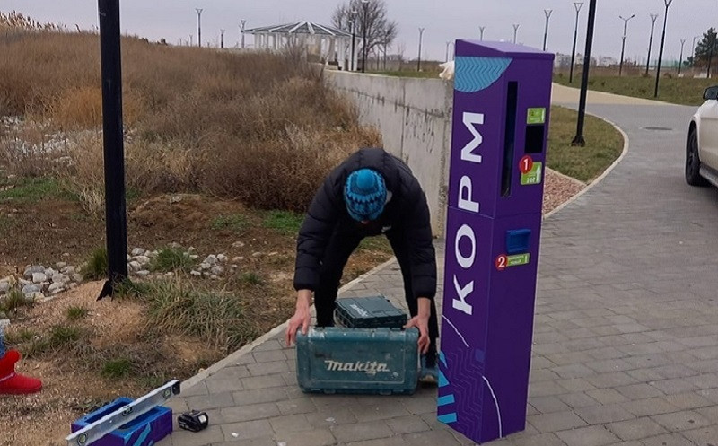 ForPost - Новости : Помогать с кормёжкой уток и лебедей в Крыму будут автоматы