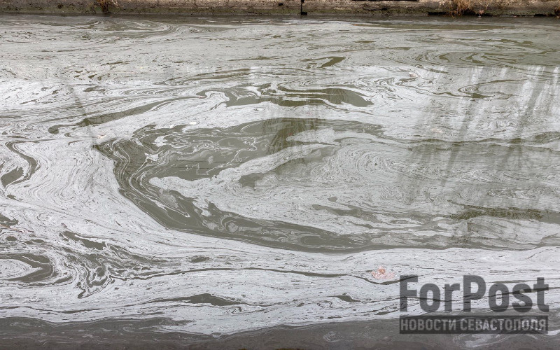 ForPost - Новости : Природоохрана изучает связь загрязнения реки в Крыму с разливом нефти в Тамани