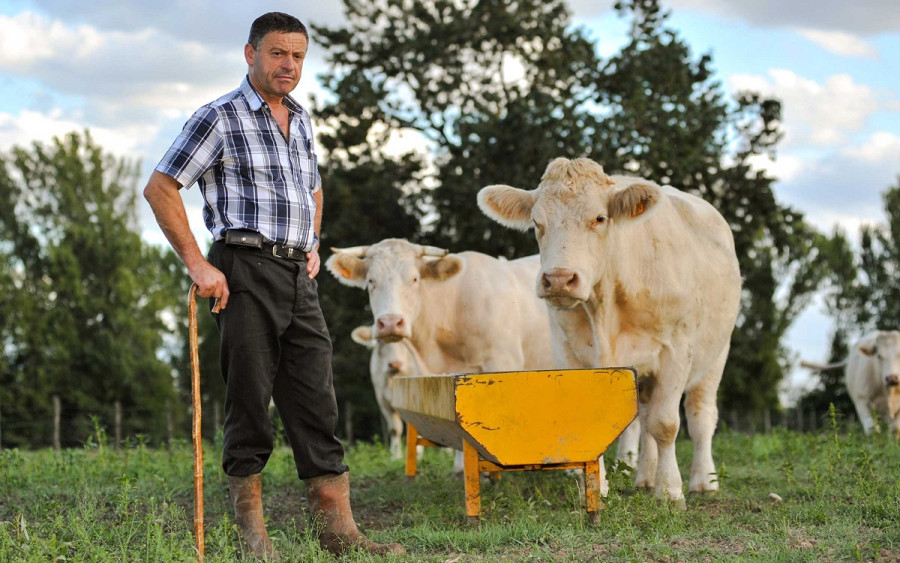 ForPost - Новости : Севастополец заразился бруцеллезом от крымской молочной продукции