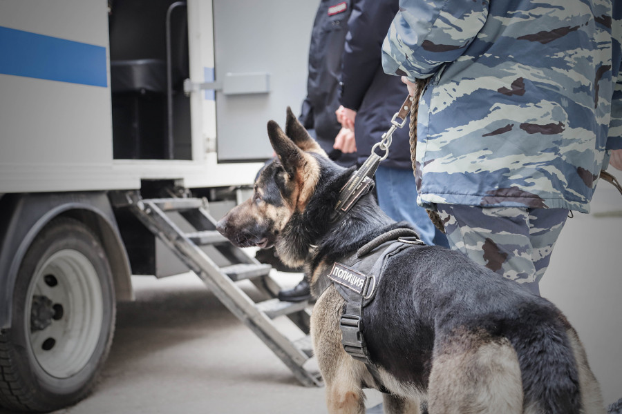 ForPost - Новости : В Севастополе экстренно эвакуировали учеников одной из школ 