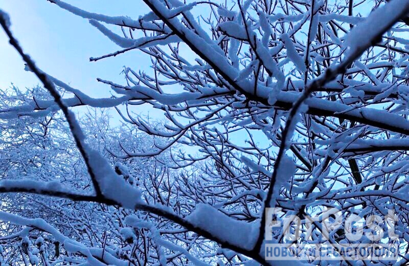 ForPost - Новости : Дожди с морозами придут в Крым в конце января