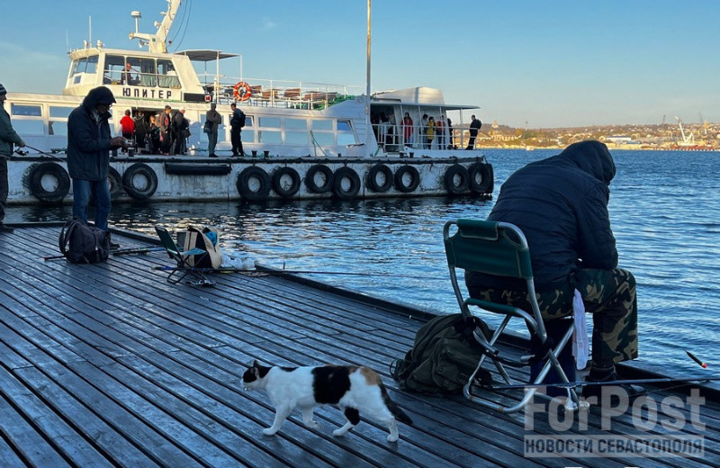ForPost - Новости : Особенности зимней рыбалки в Севастополе