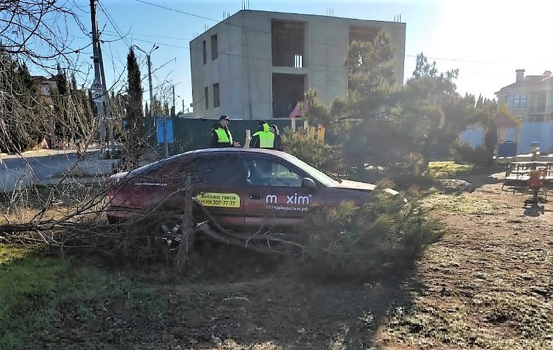 ForPost - Новости : В Севастополе паркующийся таксист снёс два дерева 