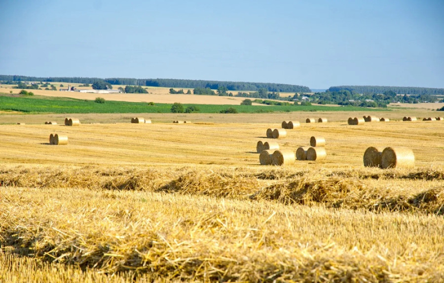 ForPost - Новости : Правительство РФ утвердило порядок ведения реестра земель сельхозназначения