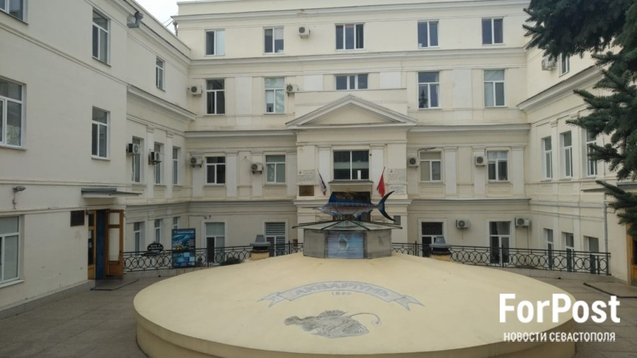 ForPost - Новости : Арбитражный суд Севастополя отказал в выселении Аквариума
