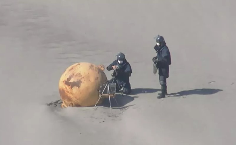 ForPost - Новости : Из-за найденного на берегу таинственного шара оцепили пляж