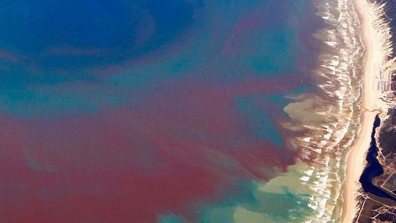 ForPost - Новости : Жители прибрежных городов задыхаются от «красного прилива» 