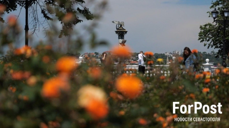 ForPost - Новости : Какими цветами украсят Севастополь в этом году 