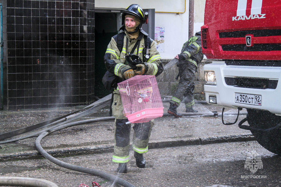 ForPost - Новости : В Севастополе из горящей квартиры вынесли человека и домашних животных