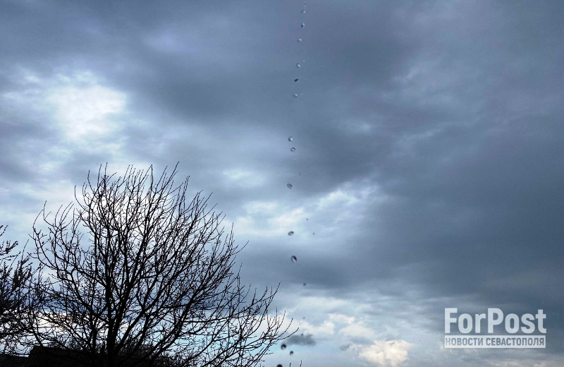 ForPost - Новости : Дожди с ветром нагрянули в Крым