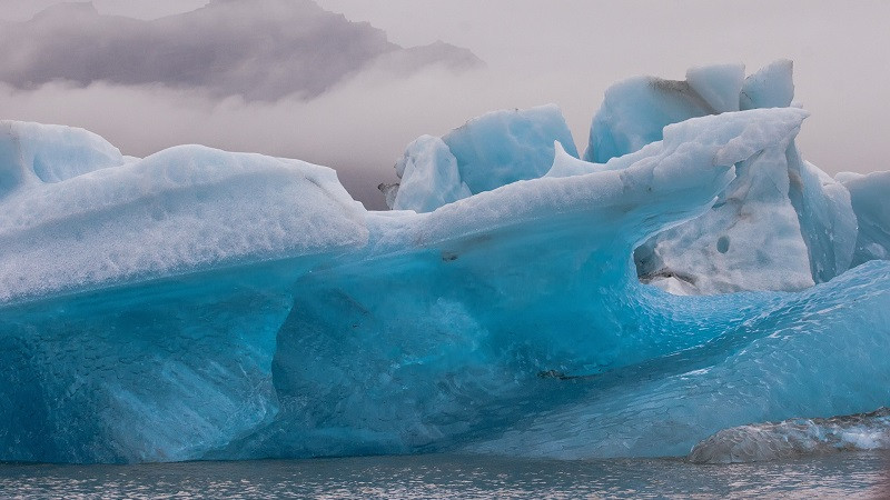 ForPost - Новости : Таяние льдов Антарктиды угрожает существованию морской жизни