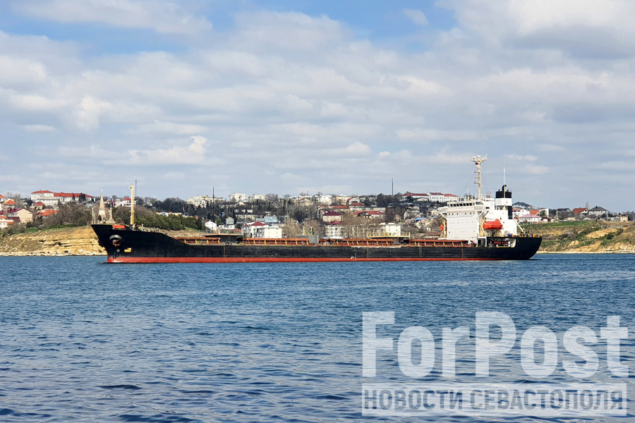 ForPost - Новости : Севастополь может стать хабом для торговли с Венесуэлой 