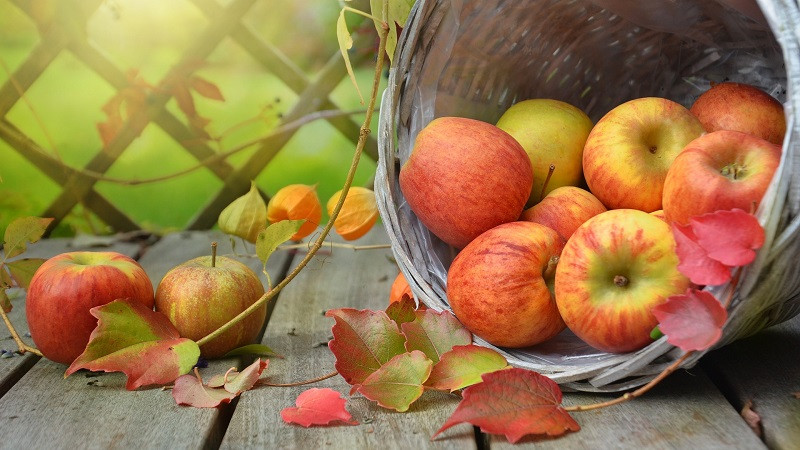 ForPost - Новости : Как влияет на организм регулярное употребление яблок