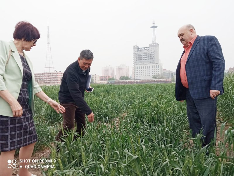 ForPost - Новости : Микробы и семена из Крыма отправились покорять Китай 