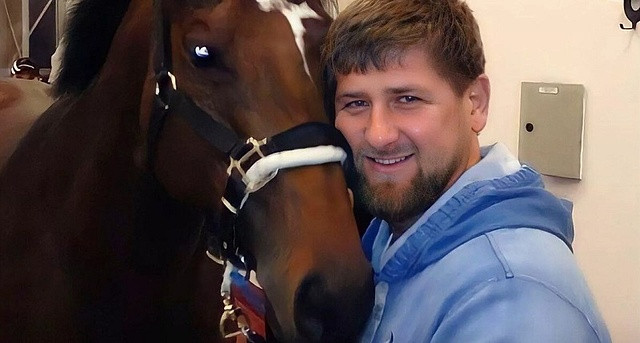 ForPost - Новости : «За сущие копейки». Кадыров раскрыл цену выкупа своего коня у украинских спецслужб