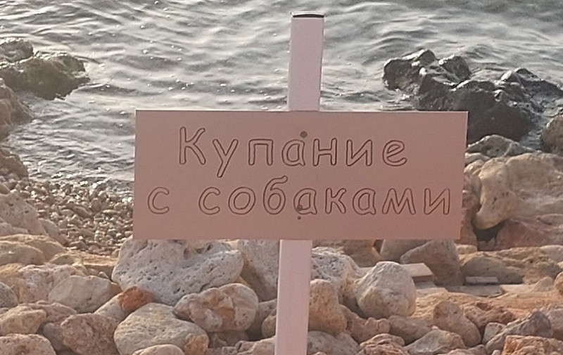 ForPost - Новости : В Севастополе собаки могут с комфортом отдохнуть на пляже